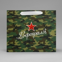 Пакет подарочный ламинированный горизонтальный, упаковка, «Звезда», ML 27 х 23 х 11.5 см Пакет подарочный ламинированный горизонтальный, упаковка, «Звезда», ML 27 х 23 х 11.5 см