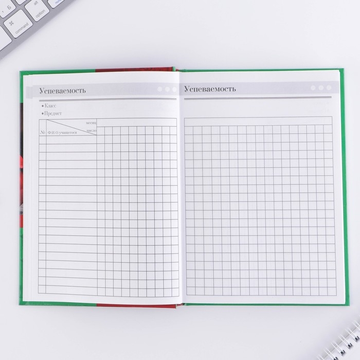 Ежедневник &laquo;Учителю: Ежедневник учителя&raquo;, твёрдая обложка картон 7БЦ, формат А5, 160 листов