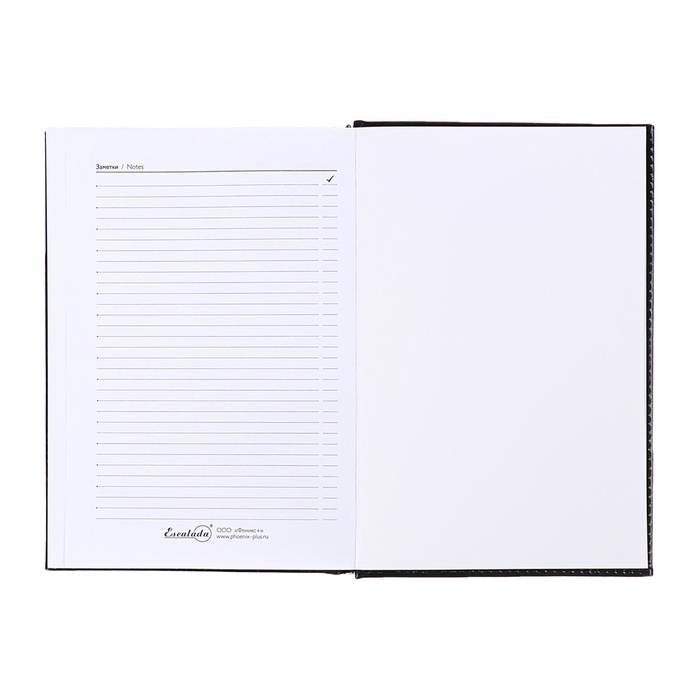 Ежедневник недатир А5 160л ESCALADA, тв обл/пор, иск кож, бл тис, ляс, бл 70г/м2, чёрный