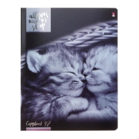 Тетрадь 48 листов в клетку "Котята мур-мур", обложка мелованный картон, гибридный лак, фольга, МИКС Тетрадь 48 листов в клетку "Котята мур-мур", обложка мелованный картон, гибридный лак, фольга, МИКС