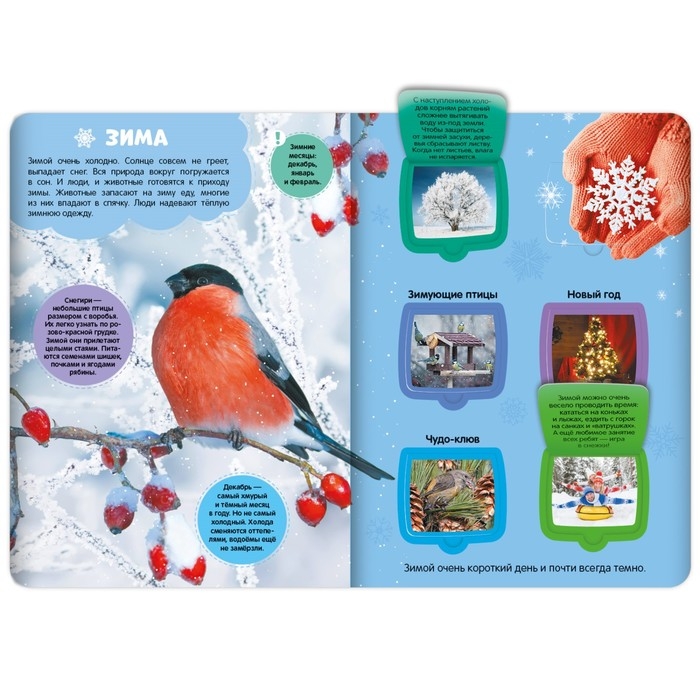 Книжка с окошками &laquo;Времена года&raquo;