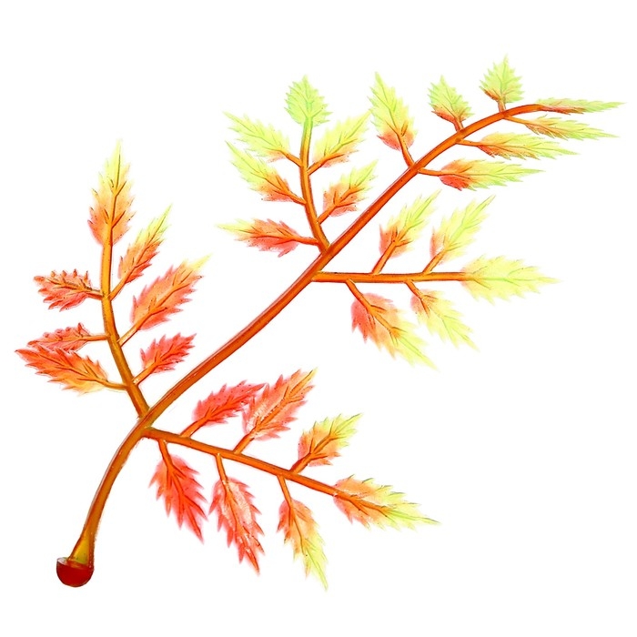 Набор солдатиков «Бойцы», 7 предметов Набор солдатиков «Бойцы», 7 предметов