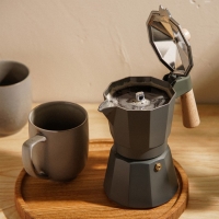 Кофеварка гейзерная SL Home «Ферамо», 300 мл, 11×15,5×20 см, цвет оливковый Кофеварка гейзерная SL Home «Ферамо», 300 мл, 11×15,5×20 см, цвет оливковый