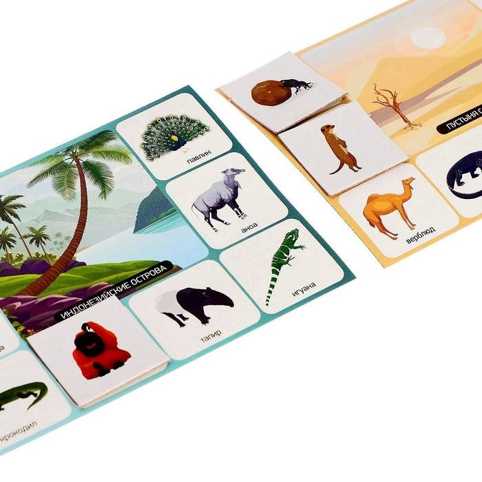 Лото детское&raquo; Кто где живёт?&raquo;, МИКС