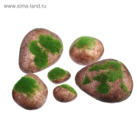 Мох искусственный &laquo;Камни&raquo;, набор 6 шт., Greengo