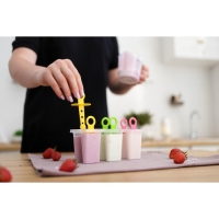 Форма для мороженого Доляна &laquo;Симпл&raquo;, 6 ячеек