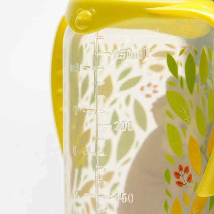 Бутылочка для кормления «Мишки: мамы и малыши», классическое горло, 250 мл., от 0 мес, цилиндр, с ручками Бутылочка для кормления «Мишки: мамы и малыши», классическое горло, 250 мл., от 0 мес, цилиндр, с ручками