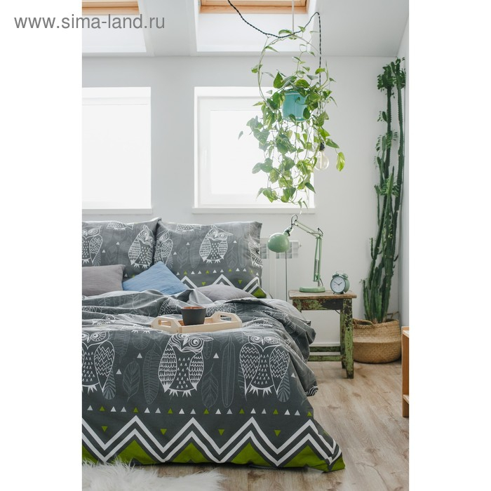 Постельное бельё "Этель" 2 сп Ушастые совы (вид 1) 175 х 215 см, 200 х 220 см, 70 х 70 - 2 шт