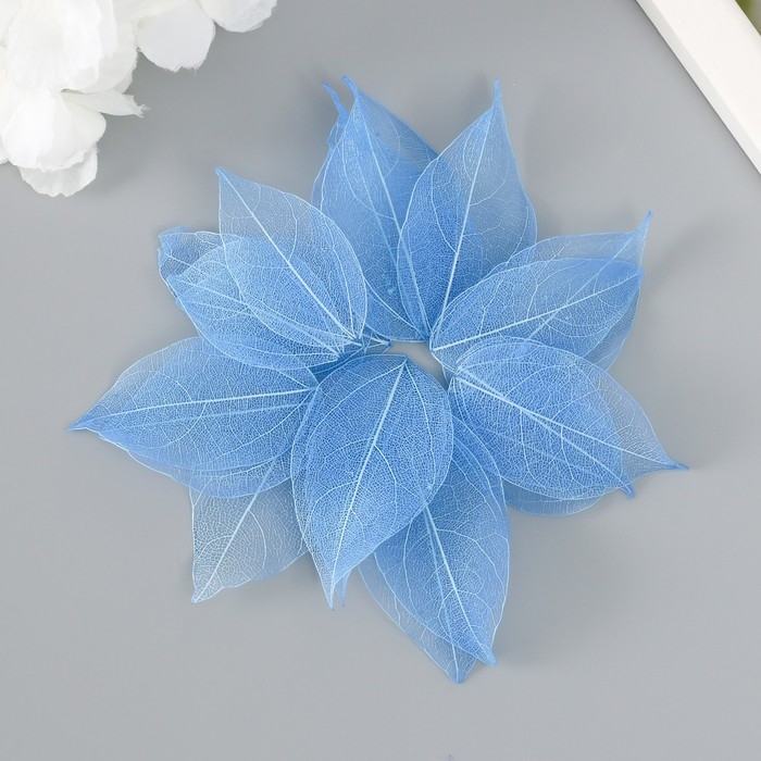 Листья скелетированные для творчества Листья скелетированные для творчества "Синие" набор 20 шт h=6-6,5 см