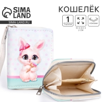 Кошелёк детский «Зайка» 10х8.5х2 см, голубой Кошелёк детский «Зайка» 10х8.5х2 см, голубой