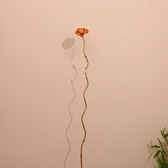 Сухоцвет на бамбуковом стебле 150 см оранжевый