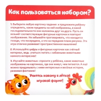 Развивающий набор &laquo;Логические задания&raquo;, цифры, животные