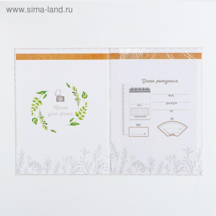 Папка для свидетельства о рождении «Мишки», А4 Папка для свидетельства о рождении «Мишки», А4