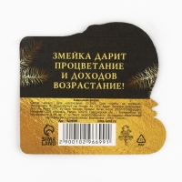 Кошельковый талисман новогодний &laquo;Новый год: Богатого года&raquo;, фигурка, 7 х 10 см,
