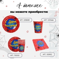 Салфетки бумажные двухслойные &laquo;С днём рождения&raquo;, паутина, 33х33, 20 шт.