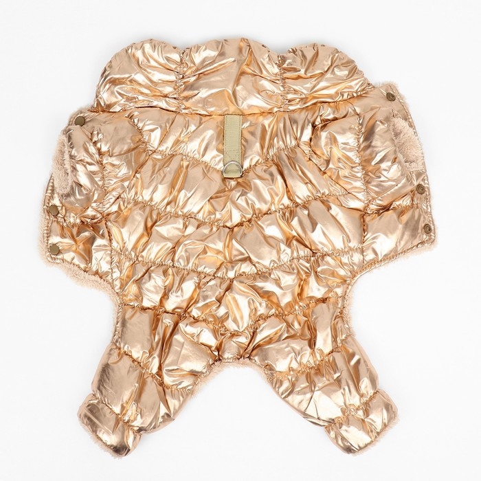 Комбинезон "Блеск", размер S (ДС 24 см, ОГ 34, ОШ 23 см, до 5 кг), золотой