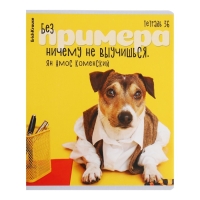 Тетрадь 36 листов в клетку, ErichKrause "Ученые собаки", обложка мелованный картон, блок офсет 100% белизна, МИКС