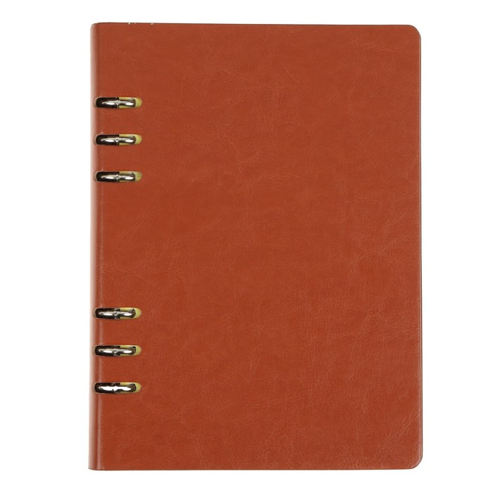 Органайзер на кольцах Органайзер на кольцах "Престиж" А5, 92 листа в линейку, обложка кожзам, МИКС