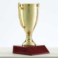 Кубок 056, наградная фигура, золото, подставка пластик, 12 х 6,3 х 6,3 см Кубок 056, наградная фигура, золото, подставка пластик, 12 х 6,3 х 6,3 см