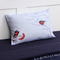 Постельное бельё &laquo;Этель&raquo; 1,5 Christmas night 143х215 см, 150х214 см, 50х70 см -1 шт, 100% хл, бязь