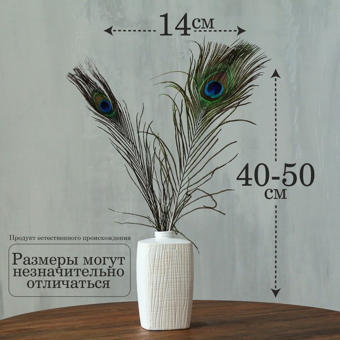 Перо павлина для декора, набор 2 шт., размер 1 шт. &mdash; от 40 до 50 см