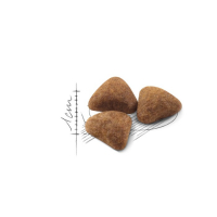 Сухой корм RC Indoor для кошек живущих в помещении, 2 кг