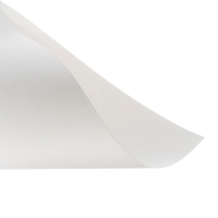 Папка для акварели А3, 10 листов 200г/м2 Calligrata, бумага СПБФ ГОЗНАК Папка для акварели А3, 10 листов 200г/м2 Calligrata, бумага СПБФ ГОЗНАК