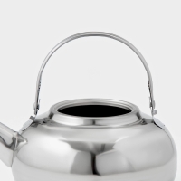 Заварочный чайник Доляна &laquo;Гретель&raquo;, 1,6 л, металлическое сито, нержавеющая сталь, хромированный