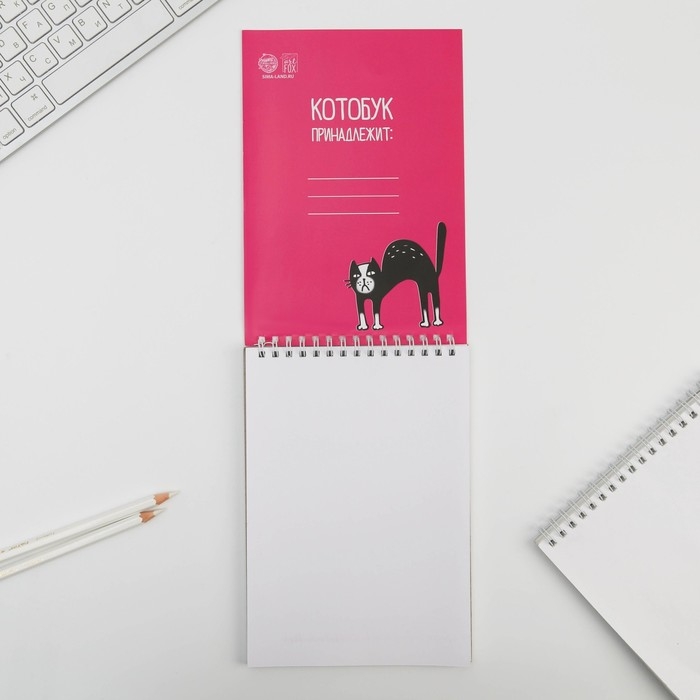 Скетчбук &laquo;Котобук&raquo; А5, 40 л, 100 г/м