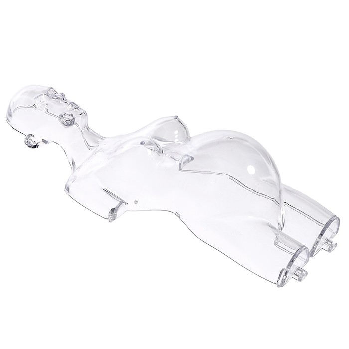 Набор для опытов «Строение тела», беременная женщина Набор для опытов «Строение тела», беременная женщина