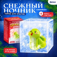 Набор для опытов &laquo;Снежный ночник: Змейка&raquo;, своими руками