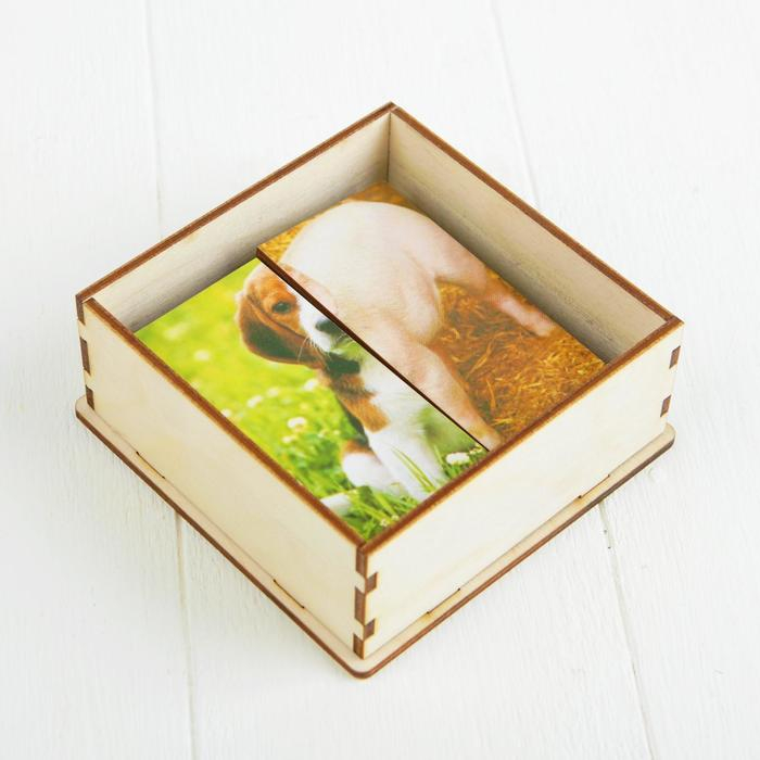 Картинки-половинки &laquo;Домашние животные&raquo;