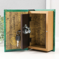 Сейф дерево книга кожа "Мои наполеоновские планы с элементами" 17х11х5 см