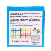 Развивающий набор &laquo;Эволюция&raquo;, животные, растения, насекомые