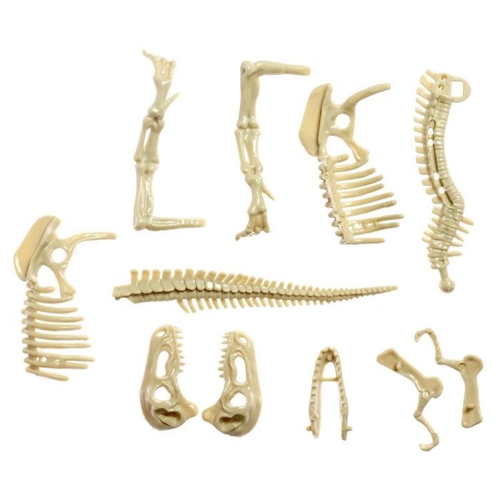 Набор для опытов &laquo;Время динозавров&raquo;, тиранозавр, в пакете