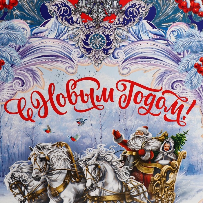 Пакет подарочный новогодний ламинированный &laquo;Дедушка Мороз&raquo;, L 31 х 40 х 11,5 см, Новый год