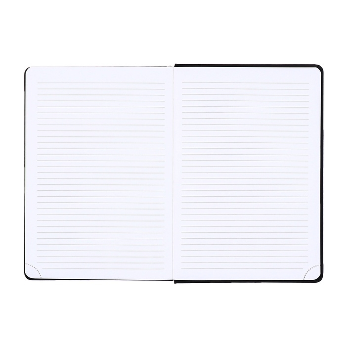 Ежедневник датированный 2025 года, deVENTE. Flag, A5 168 листов, deVENTE. Duo, твердая обложка кожзам с поролоном, шелкография, перфорация, ляссе, блок 70 г/м2