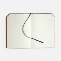 Ежедневник Espresso, недатированный, оранжевый