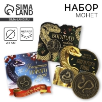 Монета новогодняя &laquo;Новогодняя&raquo; на Новый год, микс, диам. 2.5 см