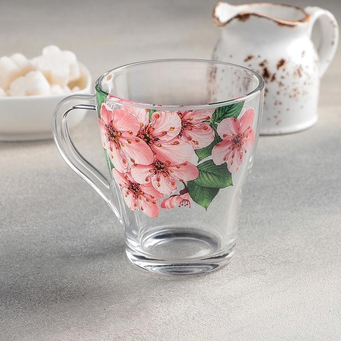 Кружка &laquo;Живая природа. Сакура&raquo;, стеклянная, 250 мл
