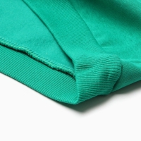 Костюм для мальчиков (толстовка, брюки), НАЧЁС, цвет зелёный, рост 98 см Костюм для мальчиков (толстовка, брюки), НАЧЁС, цвет зелёный, рост 98 см