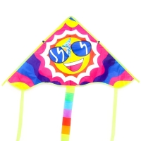 Воздушный змей «Смайлик» с леской Воздушный змей «Смайлик» с леской