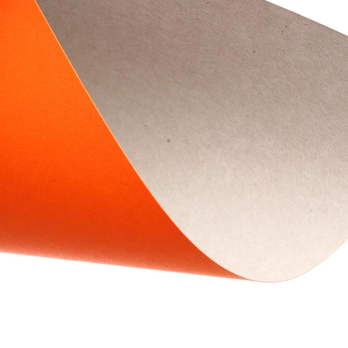 Набор для детского творчества А4, 8 листов цветная бумага + 8 листов цветной картон + 4 листа белый картон, Набор для детского творчества А4, 8 листов цветная бумага + 8 листов цветной картон + 4 листа белый картон, "Zoo" Лев