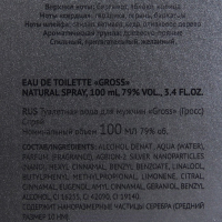 Туалетная вода мужская Gross, 100 мл Туалетная вода мужская Gross, 100 мл