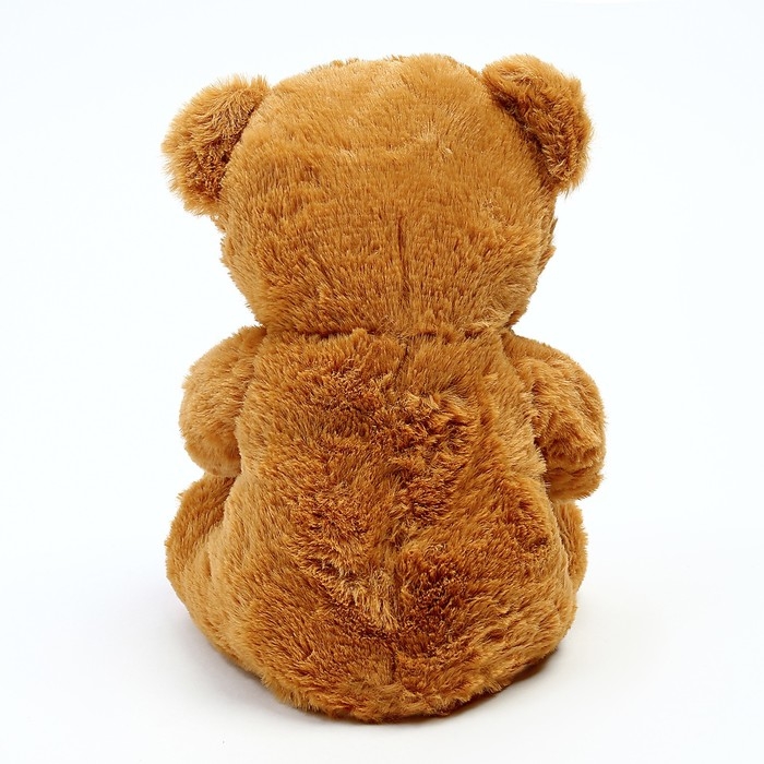 Мягкая игрушка &laquo;Мишка&raquo;, 25 см, цвета коричневый