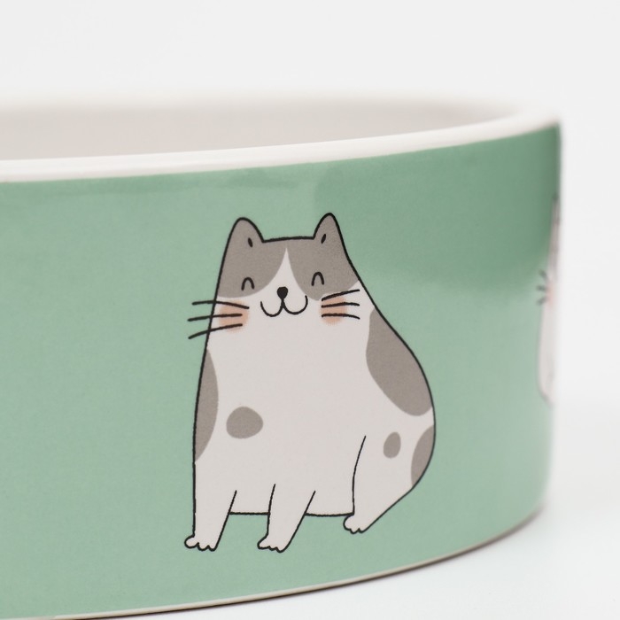 Миска керамическая Миска керамическая "Котяры" 300 мл 12,5 x 4,5 cм, бело-зелёная
