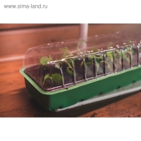 Мини-парник для рассады, 57 &times; 18 &times; 14,5 см, 3 вставки, 18 ячеек, Greengo