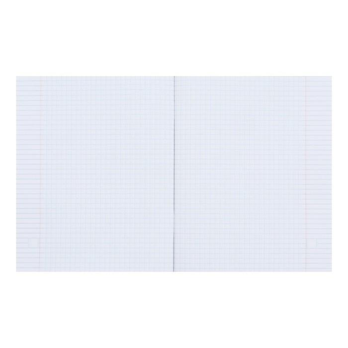 Комплект тетрадей из 5 штук, 48 листов в клетку Calligrata "АнимЭ", обложка мелованный картон, блок офсет