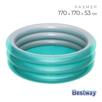 Бассейн надувной &laquo;Металлик&raquo;, 170 х 53 см, от 6 лет, 51042 Bestway