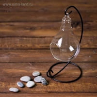 Флорариум "На подвесе" 23 см лампочка 15х9 см d-5,5 см